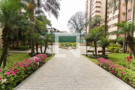 Área comum de apartamento à venda com 2 quartos, 50m² em Vila Santana, São Paulo