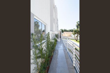Entrada de apartamento à venda com 2 quartos, 82m² em Jardim Atlântico, Belo Horizonte