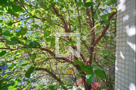 Vista de apartamento à venda com 2 quartos, 100m² em Floresta, Porto Alegre