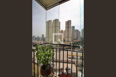 Sala Sacada de apartamento à venda com 3 quartos, 60m² em Nova Petrópolis, São Bernardo do Campo