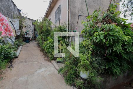 Quintal de casa à venda com 2 quartos, 450m² em Vila Nova Cachoeirinha, São Paulo