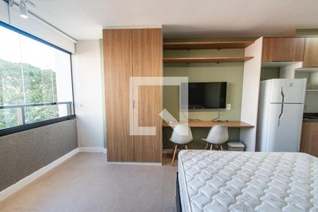 Sala/quarto de kitnet/studio para alugar com 1 quarto, 22m² em Vila Mariana, São Paulo
