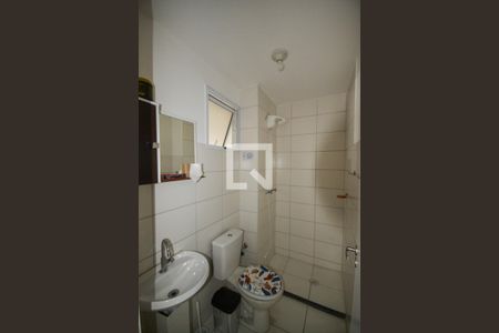 Banheiro Social de apartamento para alugar com 2 quartos, 55m² em Jardim Jasmim, Nova Iguaçu