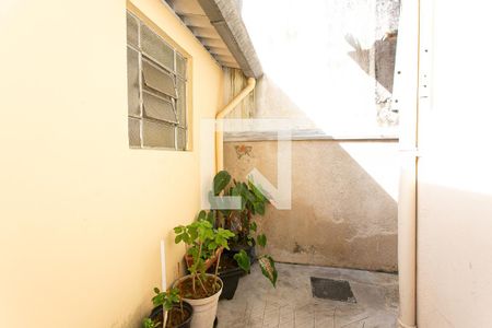 Quintal de casa à venda com 2 quartos, 192m² em Vila Santo Estevão, São Paulo