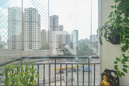 Vista da Sacada de apartamento à venda com 3 quartos, 60m² em Nova Petrópolis, São Bernardo do Campo