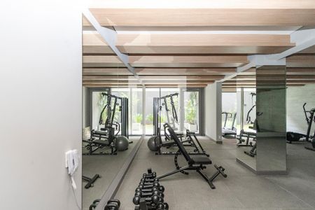 Área comum - Academia de apartamento à venda com 2 quartos, 47m² em Santo Amaro, São Paulo