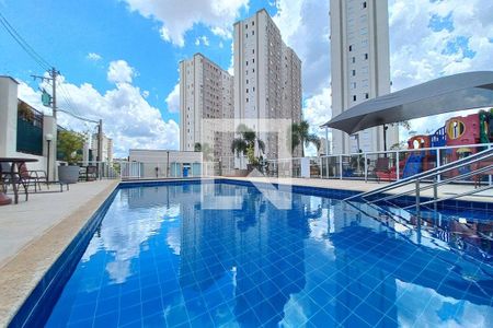 Área comum - Piscina de apartamento à venda com 2 quartos, 55m² em Fundacao da Casa Popular, Campinas