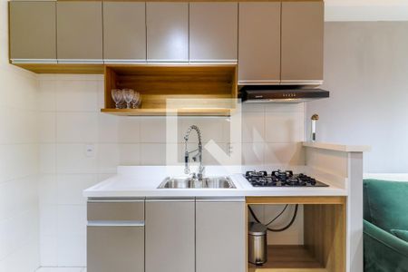 Cozinha de apartamento para alugar com 1 quarto, 30m² em Vila das Belezas, São Paulo
