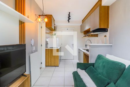 Sala de apartamento para alugar com 1 quarto, 30m² em Vila das Belezas, São Paulo