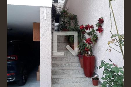 Casa à venda com 3 quartos, 217m² em Vila Sonia, São Paulo