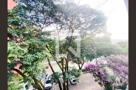 Apartamento à venda com 3 quartos, 75m² em Padre Eustáquio, Belo Horizonte