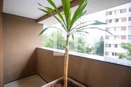 Área comum de kitnet/studio para alugar com 1 quarto, 33m² em Vila Gumercindo, São Paulo
