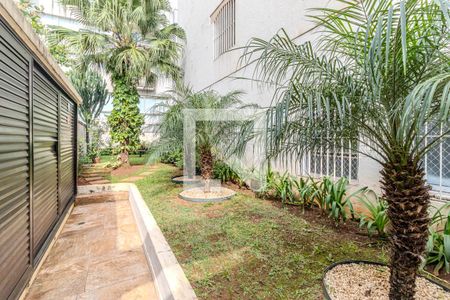 Jardim de apartamento para alugar com 1 quarto, 40m² em Santa Cecilia, São Paulo