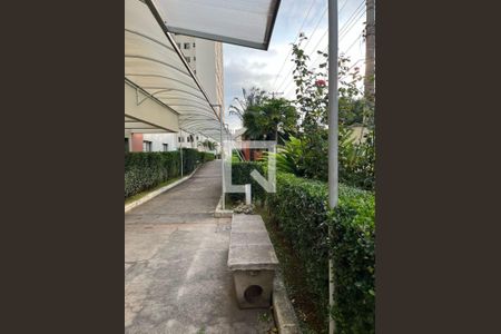 Apartamento à venda com 2 quartos, 52m² em Vila Basileia, São Paulo