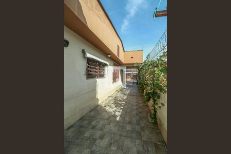 Quintal de casa para alugar com 3 quartos, 150m² em Sarandi, Porto Alegre
