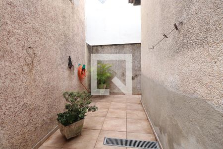 Quintal de casa à venda com 3 quartos, 480m² em Vila Granada, São Paulo