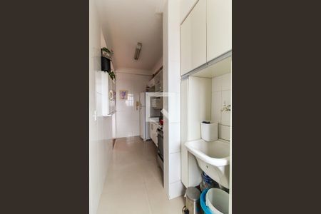 Área de Serviço de apartamento para alugar com 2 quartos, 50m² em Vila Monte Santo, São Paulo