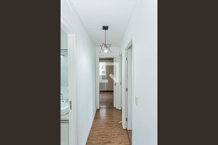 Corredor de apartamento para alugar com 3 quartos, 68m² em Jardim Pirituba, São Paulo