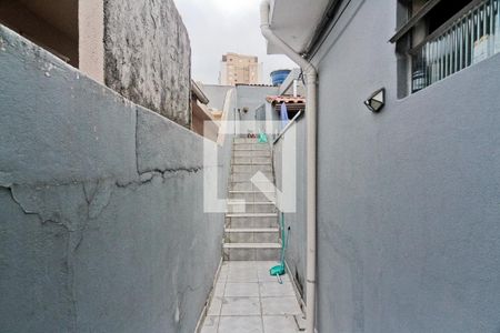 Casa 1 - Área comum de casa à venda com 5 quartos, 240m² em Parque Maria Domitila, São Paulo