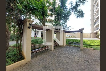 Área comum de apartamento para alugar com 2 quartos, 62m² em Vila Isa, São Paulo