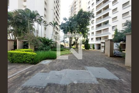 Área comum de apartamento para alugar com 2 quartos, 62m² em Vila Isa, São Paulo