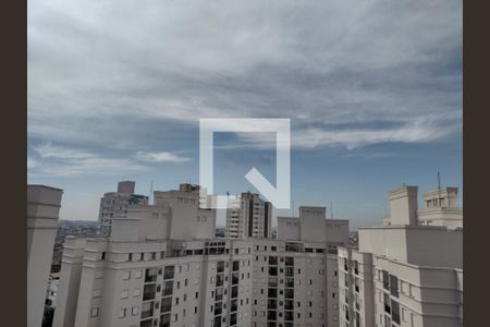 Apartamento à venda com 3 quartos, 121m² em Parque Tomas Saraiva, São Paulo
