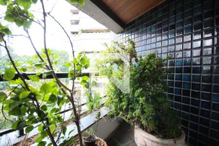 Varanda Banheiro suíte Master de apartamento à venda com 4 quartos, 275m² em Paineiras do Morumbi, São Paulo