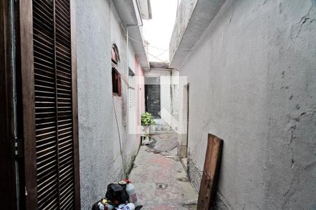 Área externa de casa à venda com 2 quartos, 322m² em Vila Carbone, São Paulo