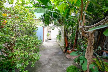 Quintal de casa à venda com 4 quartos, 211m² em Sacoma, São Paulo