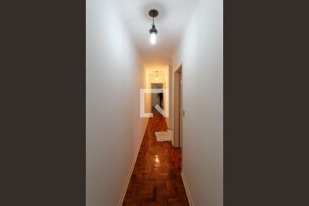 Corredor de casa para alugar com 3 quartos, 200m² em Jardim Vila Formosa, São Paulo