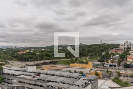 Vista Sala de apartamento para alugar com 3 quartos, 183m² em Pampulha, Belo Horizonte