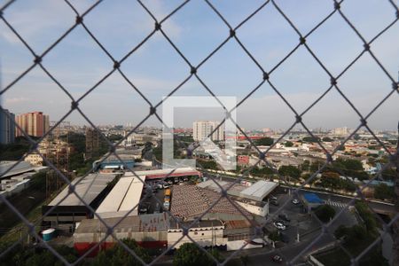 Vista da Varanda de apartamento à venda com 2 quartos, 48m² em Vila California, São Paulo