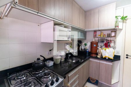 Cozinha de apartamento para alugar com 2 quartos, 50m² em Vila Mascote, São Paulo