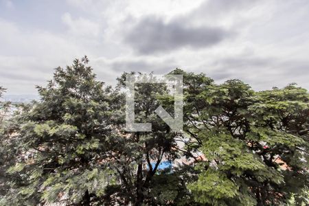 Vista de apartamento para alugar com 2 quartos, 80m² em Engenheiro Goulart, São Paulo