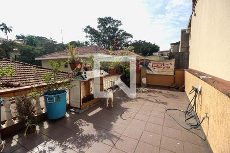 Quintal de casa à venda com 3 quartos, 248m² em Vila Isolina Mazzei, São Paulo