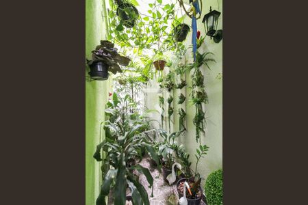 Jardim de inverno de casa à venda com 3 quartos, 115m² em Itaquera, São Paulo