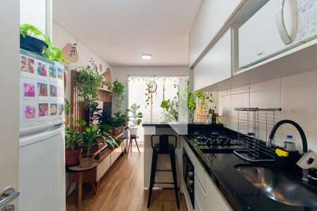 Cozinha de apartamento para alugar com 1 quarto, 29m² em Vila Ema, São Paulo