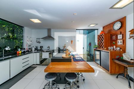 Cozinha de casa à venda com 5 quartos, 462m² em Santa Lúcia, Belo Horizonte