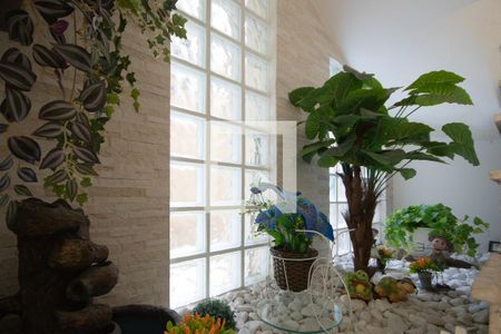 Jardim de casa de condomínio à venda com 3 quartos, 180m² em Barro Branco (zona Norte), São Paulo