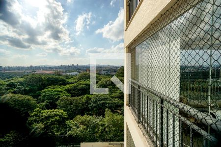 Vista da sala de apartamento à venda com 3 quartos, 167m² em Parque São Jorge, São Paulo