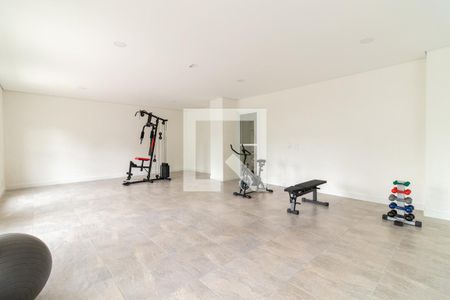 Área comum - Academia de apartamento à venda com 2 quartos, 55m² em Vila Sao Francisco, São Paulo