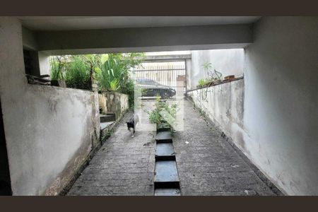 Casa à venda com 3 quartos, 392m² em Vila Curuçá, Santo André