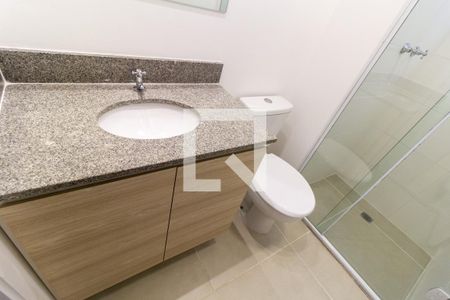 Banheiro da Suíte de apartamento para alugar com 3 quartos, 74m² em Barra Funda, São Paulo