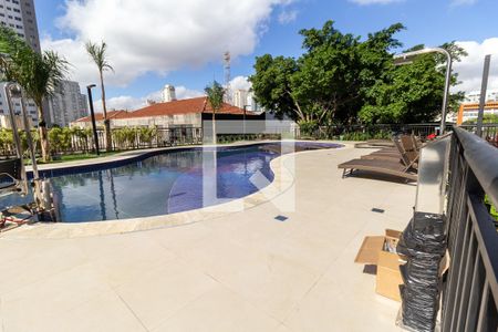 Área Comum - Piscina de apartamento para alugar com 3 quartos, 74m² em Barra Funda, São Paulo