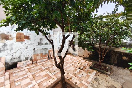 Quintal de casa à venda com 3 quartos, 297m² em Vila Marieta, Campinas