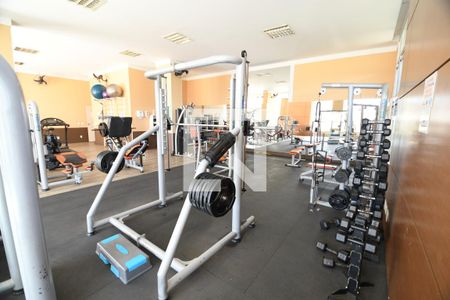 Área comum - Academia de apartamento à venda com 3 quartos, 113m² em Loteamento Alphaville Campinas, Campinas