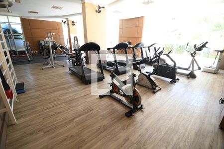 Sacada de apartamento à venda com 3 quartos, 113m² em Loteamento Alphaville Campinas, Campinas