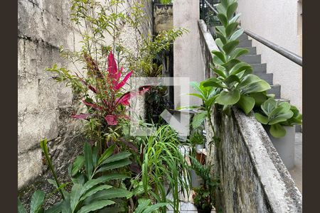 Corredor Lateral de casa à venda com 2 quartos, 185m² em Vila Nova Mazzei, São Paulo