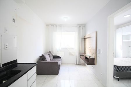 Sala/Cozinha de apartamento para alugar com 1 quarto, 24m² em Vila Nova das Belezas, São Paulo