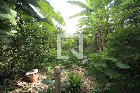 Area verde de casa à venda com 4 quartos, 190m² em Glalija, Belo Horizonte